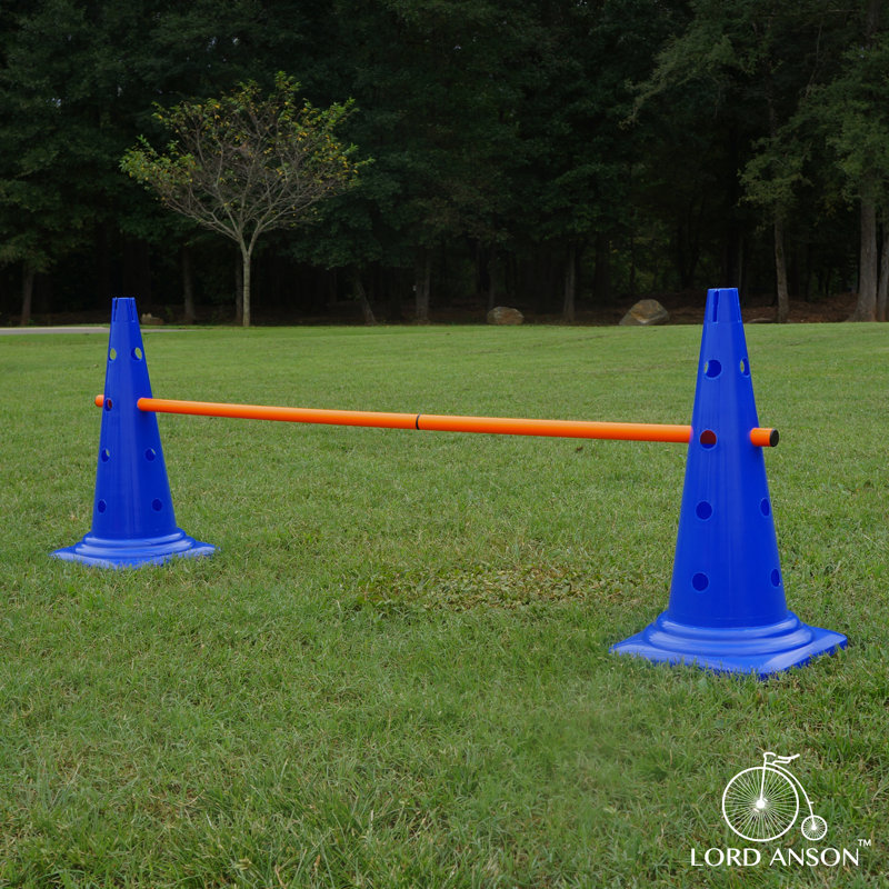 Lord Anson Dog Agility Hurdle Cone Set Canine Agility Training Set Obedience Agility And Rehabilitation 8 Agility Cones And 4 Agility Rods